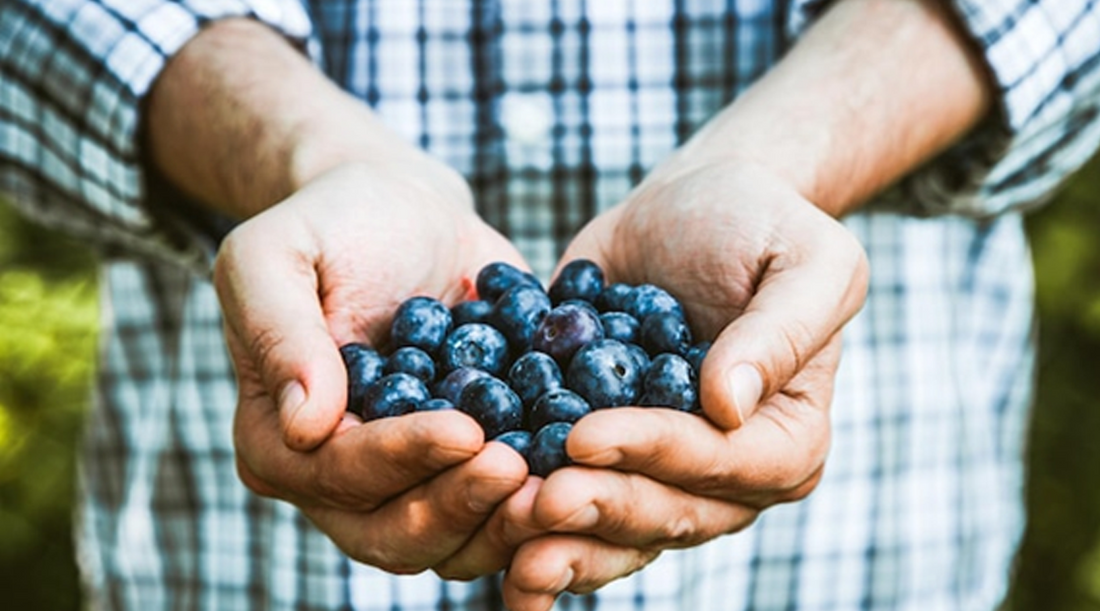 Blueberries: The Small but Mighty Anti-Aging Powerhouse for Men