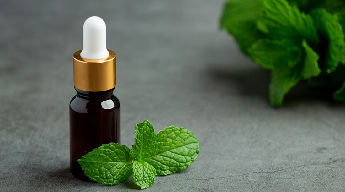 Cool and Refreshing: How Peppermint Essential Oil Can Keep Men Looking Young