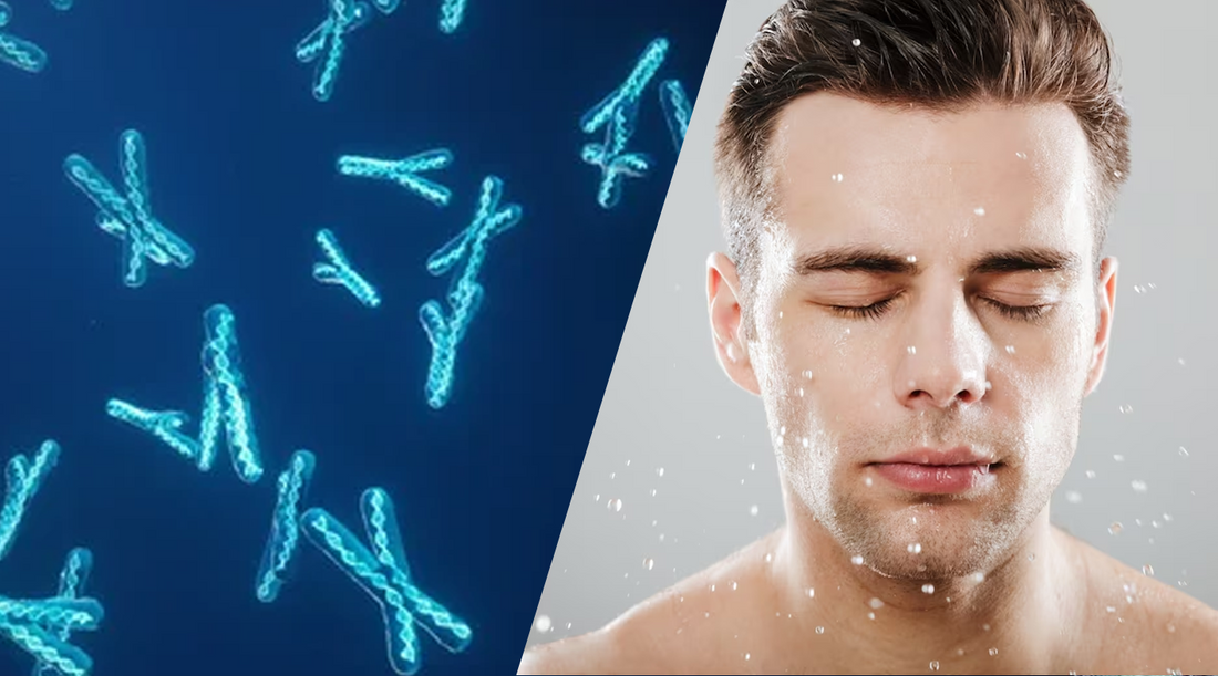 The Science of Telomere-Lengthening Supplements: Can They Really Improve Men's Skincare?